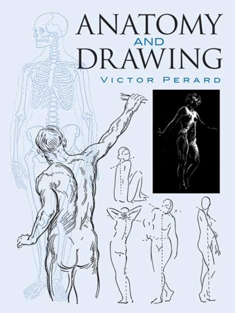 Anatomy & Drawing