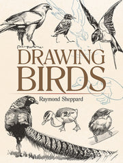 Drawing Birds By Sheppard, Raymond