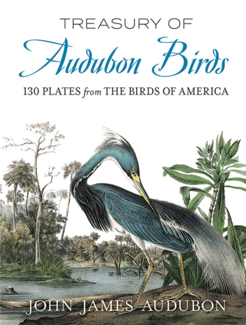 Treasury Of Audubon Birds
