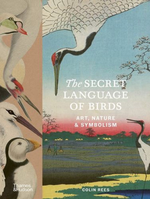 Secret Language Of Birds By Rees, Colin