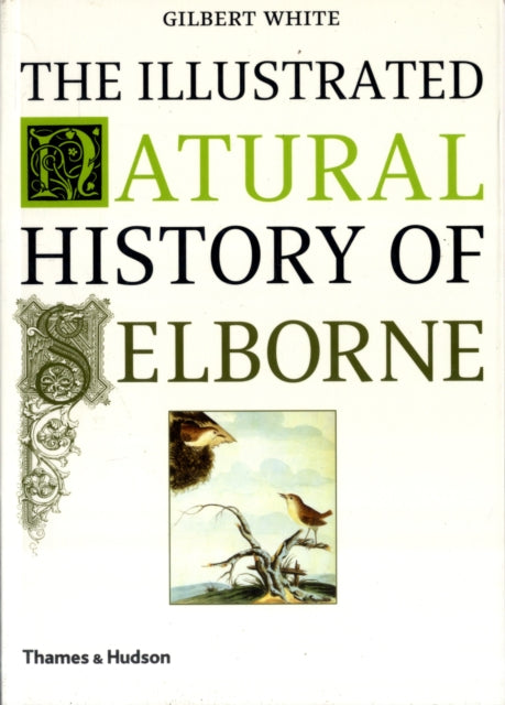 Illustrated Natural History Of Selborne