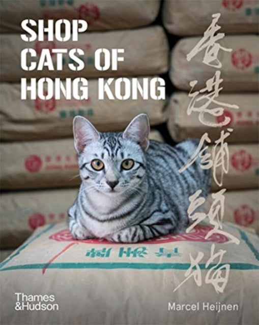 Shop Cats Of Hong Kong By Heijnen, Marcel