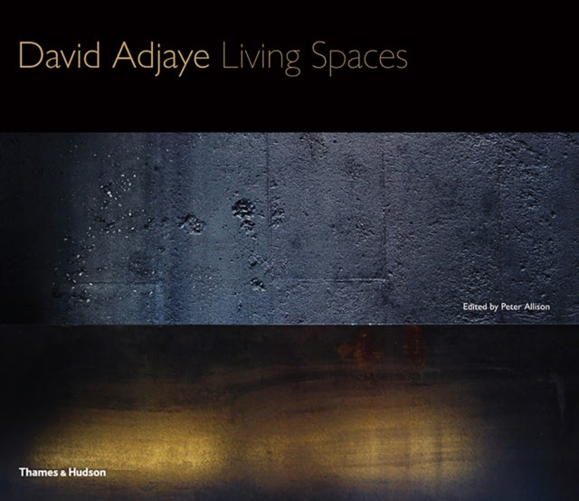 David Adjaye By Allison, Peter (ed)