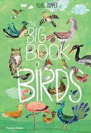 Big Book Of Birds By Zommer, Yuval