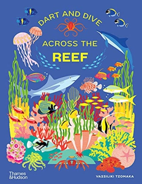 Dart & Dive Across The Reef
