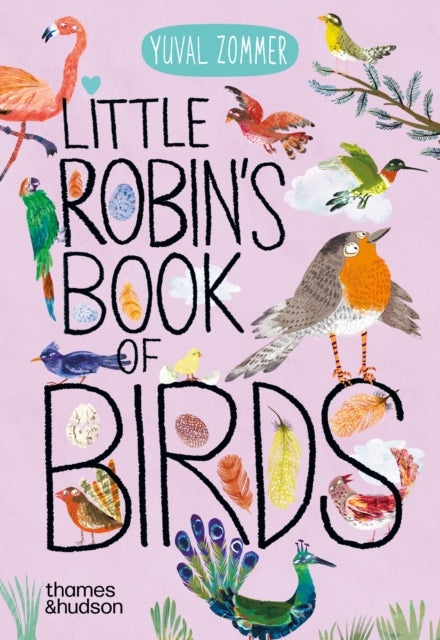 Little Robins Book Of Birds