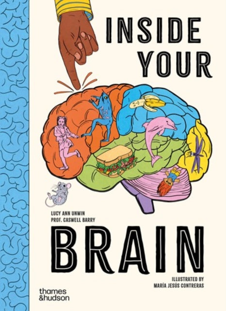 Inside Your Brain
