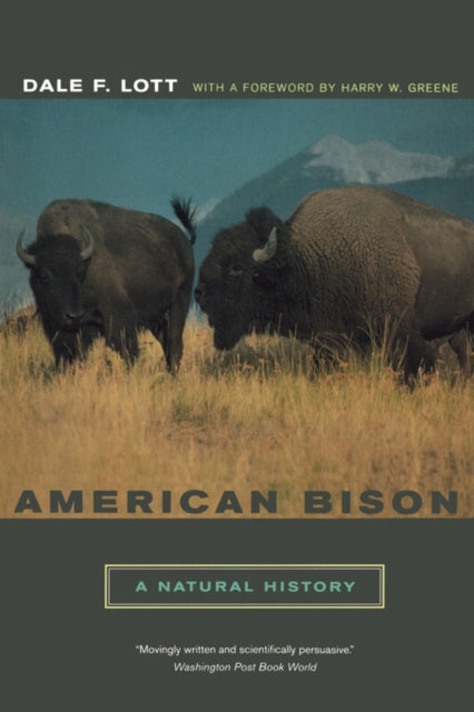 American Bison A Natural History