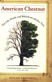 American Chestnut The Life Death And