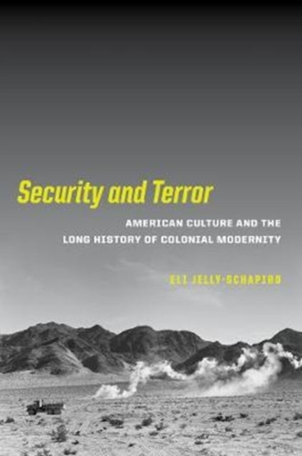 Security And Terror American Culture An