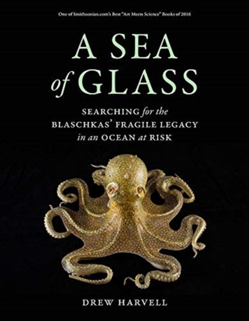 Sea Of Glass A