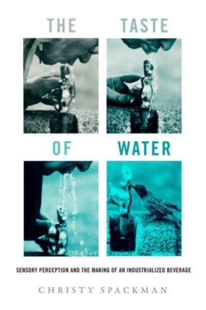Taste Of Water