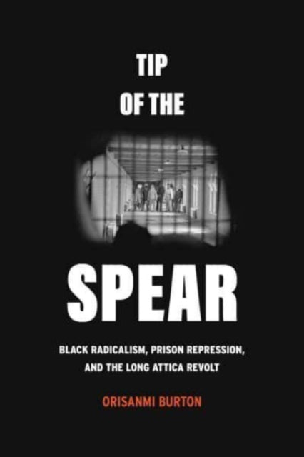 Tip Of The Spear Black Radicalism Pris