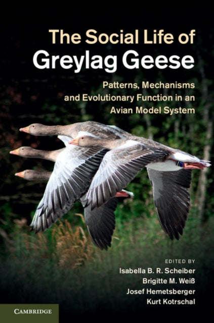 Social Life Of Greylag Geese By Scheiber, Isabella