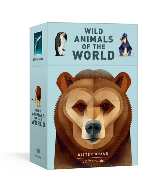 Wild Animals Of The World 50 Postcards