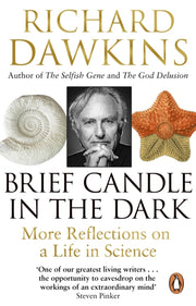 Brief Candle In The Dark