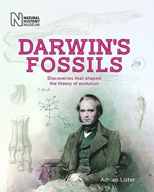 Darwins Fossils