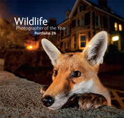 Wildlife Photographer Of The Year By Natural History Museum