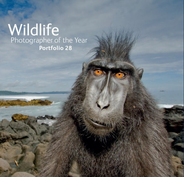 Wildife Photographer Of The Year