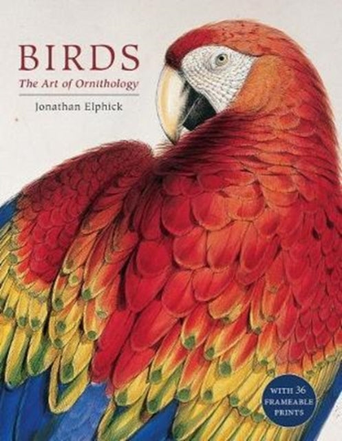 Birds The Art Of Ornithology Boxed Set By Elphick, Jonathan