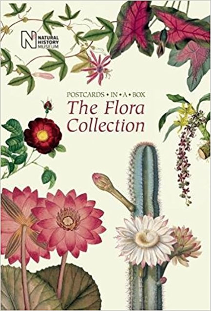 Flora Collection Postcards In A Box