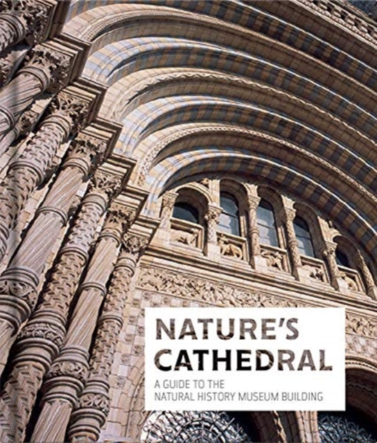 Natures Cathedral