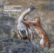 Wildlife Photographer/year Portfolio 29