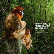 How Wildlife Photography Became Art By Kidman Cox Rosamund