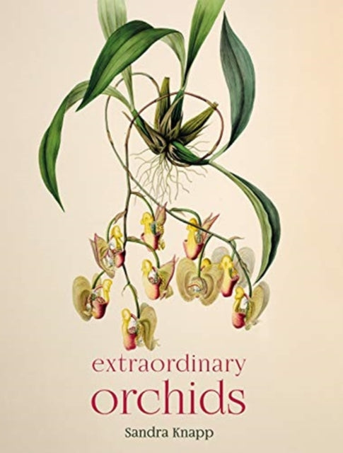 Extraordinary Orchids By Sandra Knapp