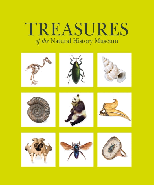 Treasures Of The Natural History Museum