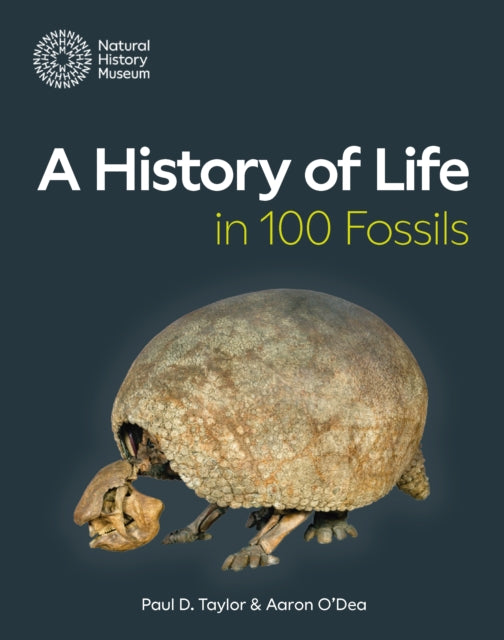 History Of Life In 100 Fossils By Taylor, Paul D.