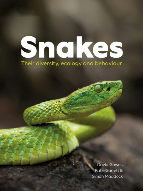 Snakes Their Ecology Diversity/behaviour