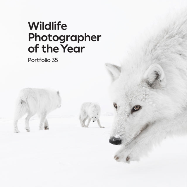 Wildlife Photographer Of The Year Port