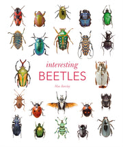 Interesting Beetles By Max Barclay