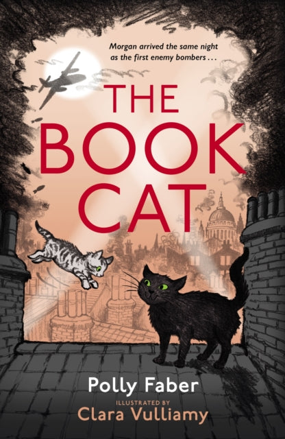 Book Cat By Faber, Polly