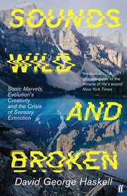 Sounds Wild & Broken
