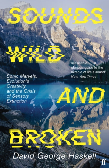 Sounds Wild & Broken