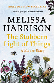 Stubborn Light Of Things