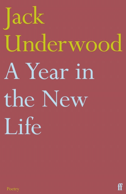 Year In The New Life