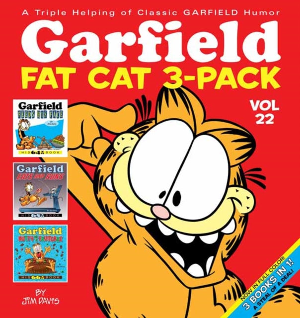 Garfield Fat Cat 3pack 22