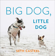 Big Dog Little Dog