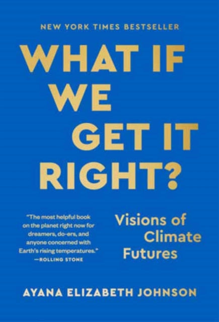 What If We Get It Right By Johnson, Ayana Eliza
