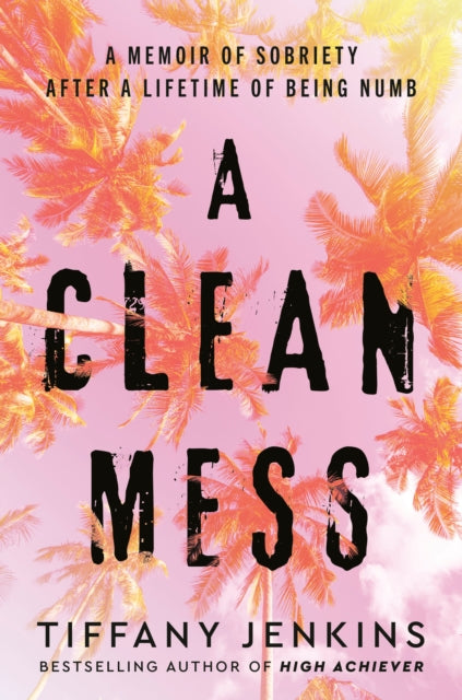 Clean Mess