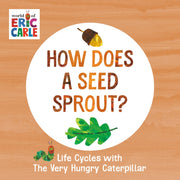 How Does A Seed Sprout