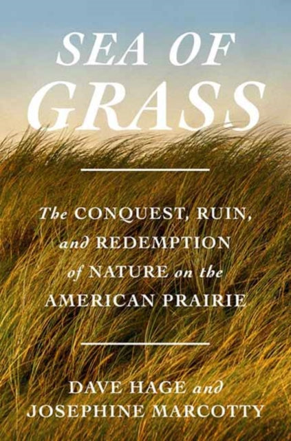 Sea Of Grass