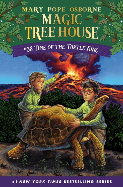 Time Of The Turtle King