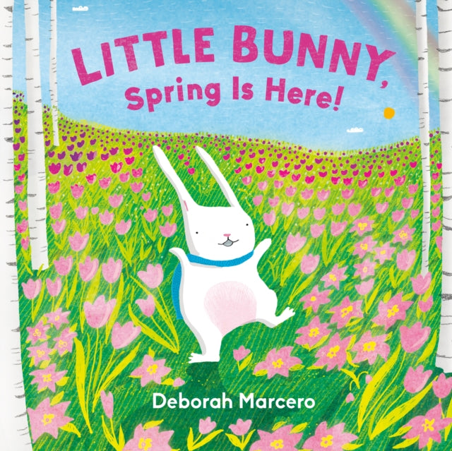 Little Bunny Spring Is Here By Marcero, Deborah