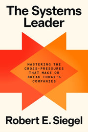 Systems Leader
