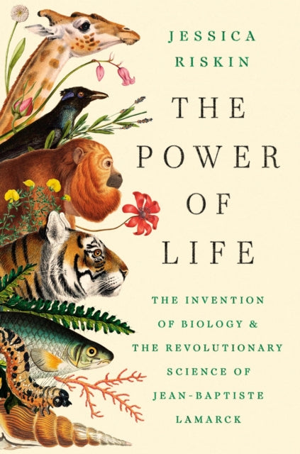Power Of Life By Riskin, Jessica
