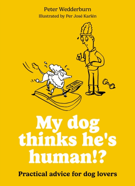 My Dog Thinks Hes Human